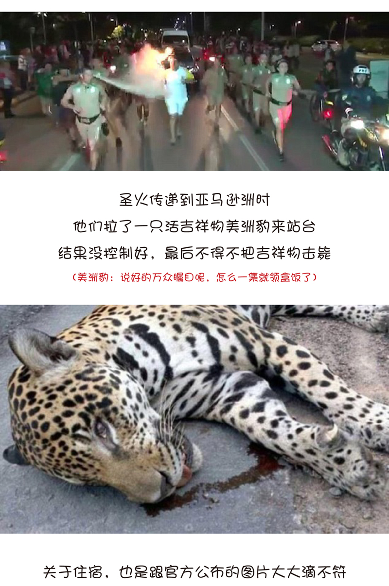 海創(chuàng)集成墻面