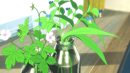 綠陰幽草.gif