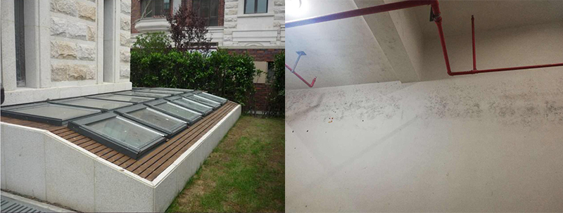 發(fā)霉.jpg 發(fā)霉.jpg