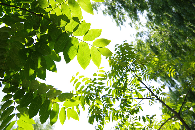 攝圖網(wǎng)_500478810.jpg 攝圖網(wǎng)_500478810.jpg