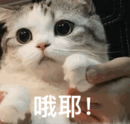微信圖片_20200605085332.gif 微信圖片_20200605085332.gif