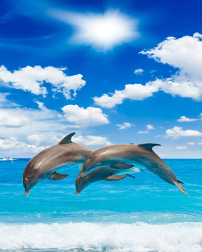 webp.webp (5).jpg webp.webp (5).jpg