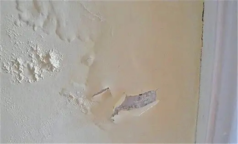 3.webp.jpg 3.webp.jpg